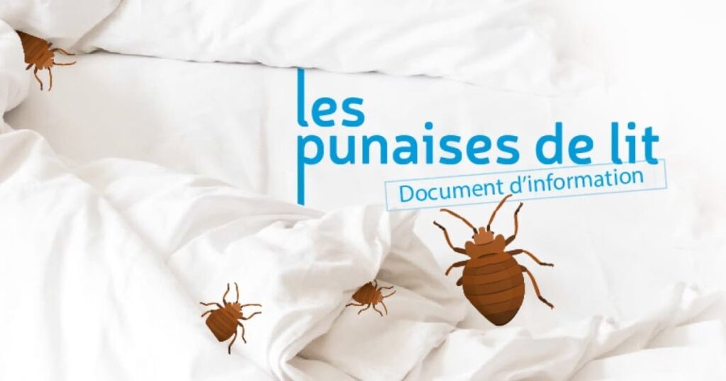 Les punaises de lit